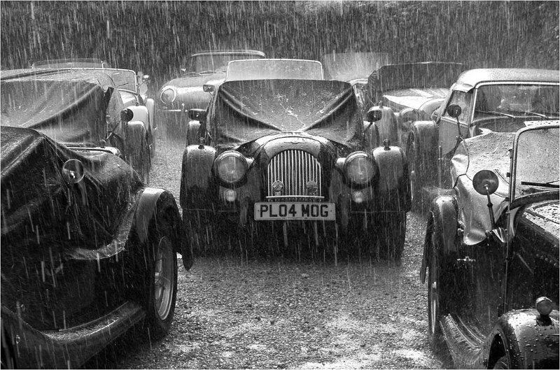 648 - morgans in the rain - HAYCOX Sheila - great britain.jpg